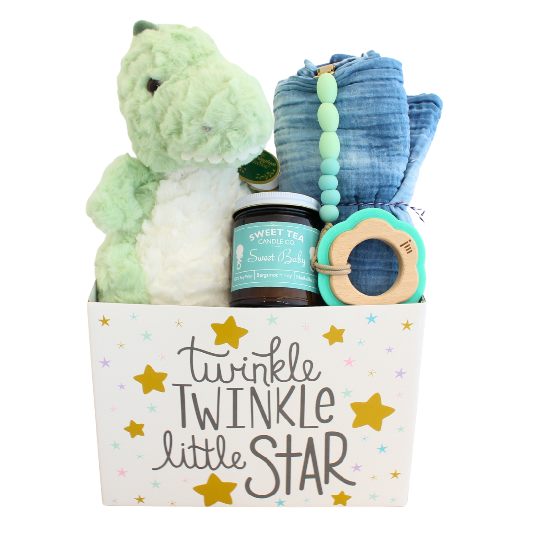 Little Dino Baby Gift Basket